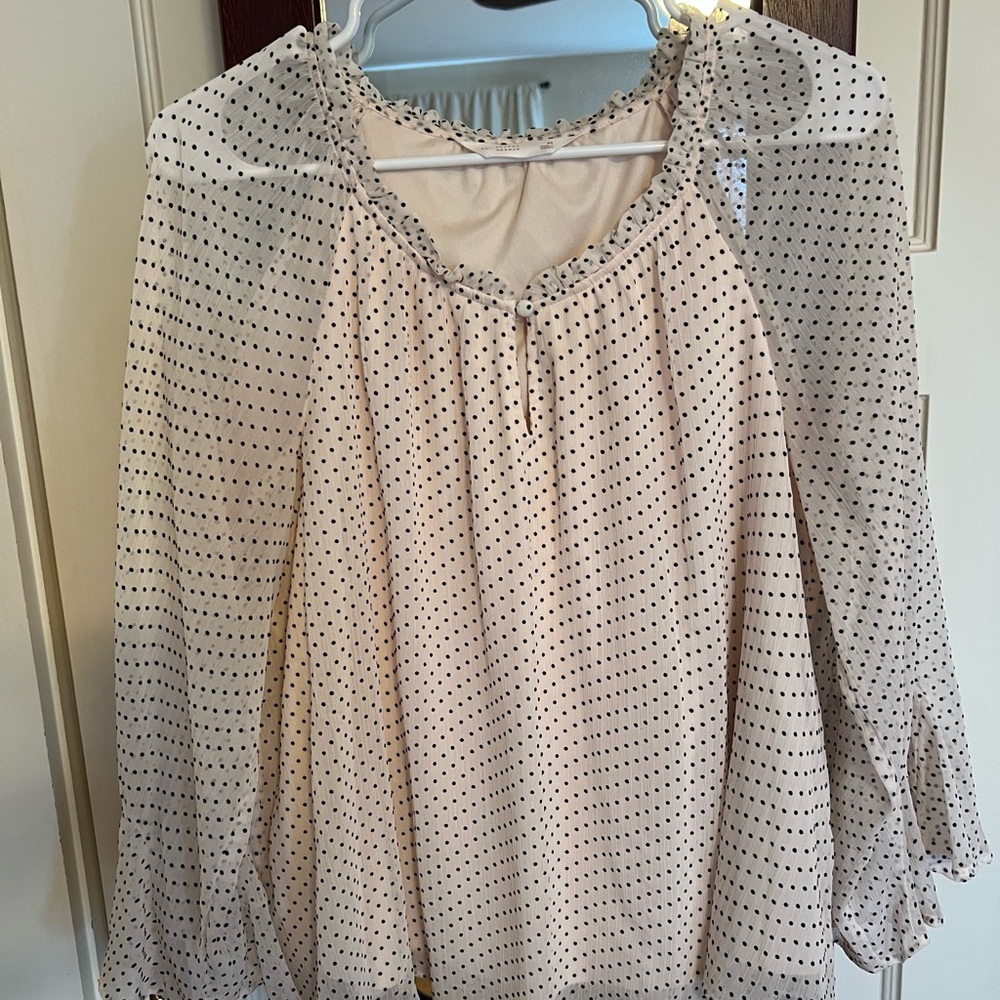 Polka Dot Sheer Blouse